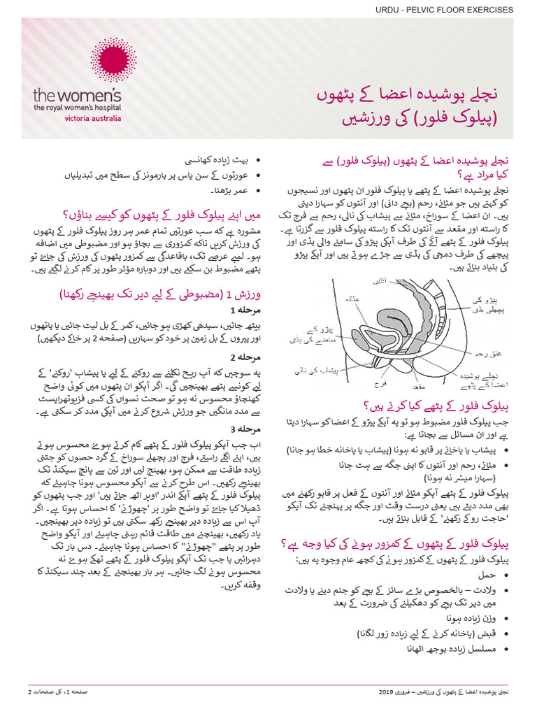 pelvic-floor-exercises-urdu-pdf