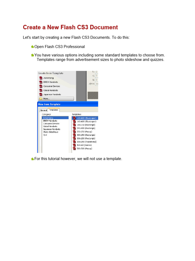Flash Fundamentals | PDF