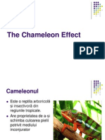 The Chameleon Effect