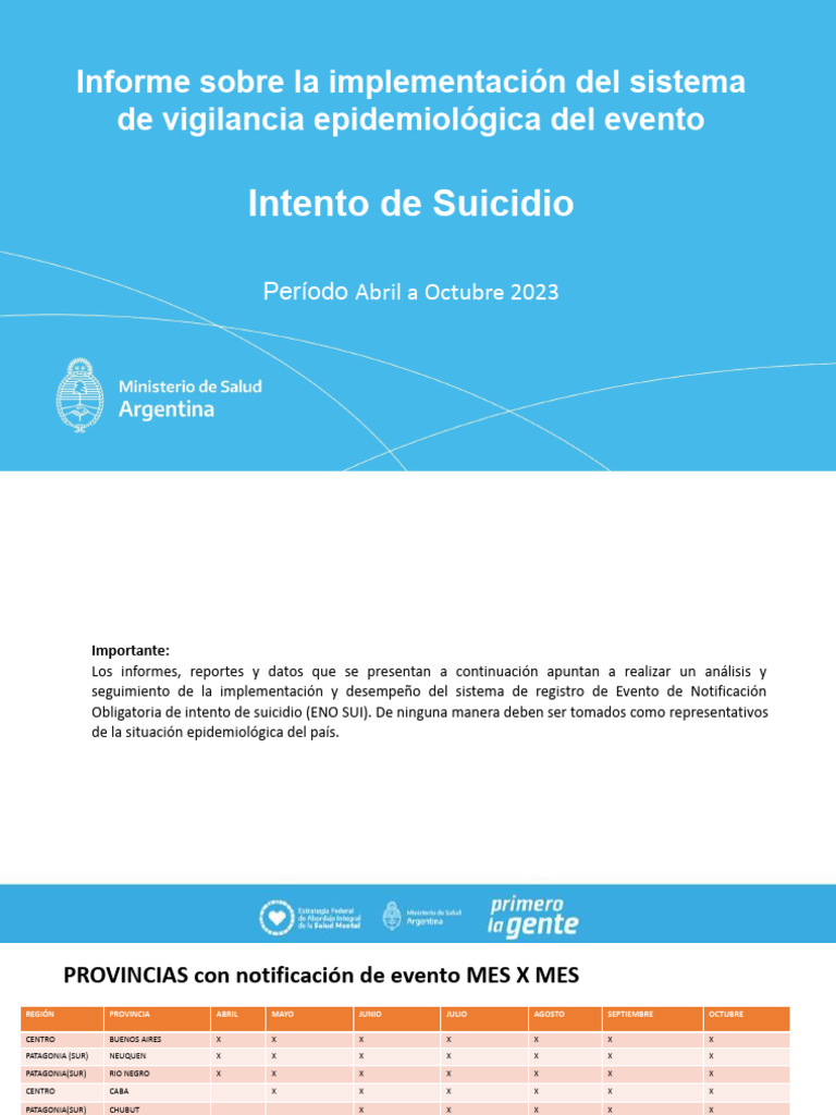Informe Sobre La Implementacion Del Sistema de Vigilancia | PDF