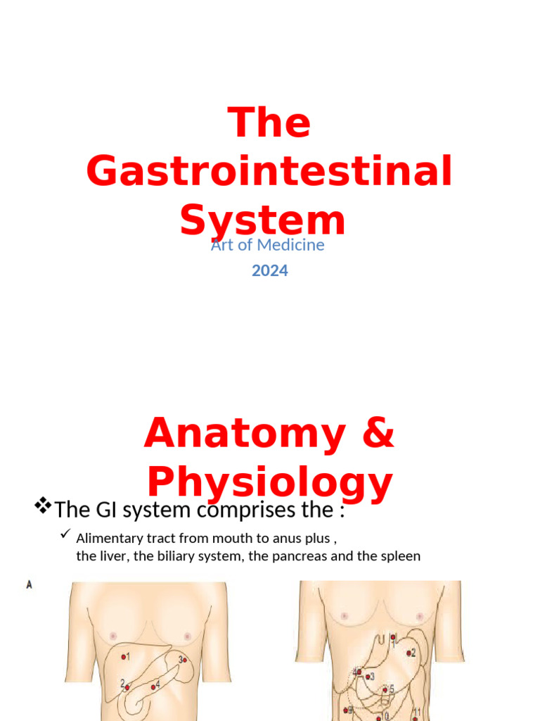 GI Examination | PDF