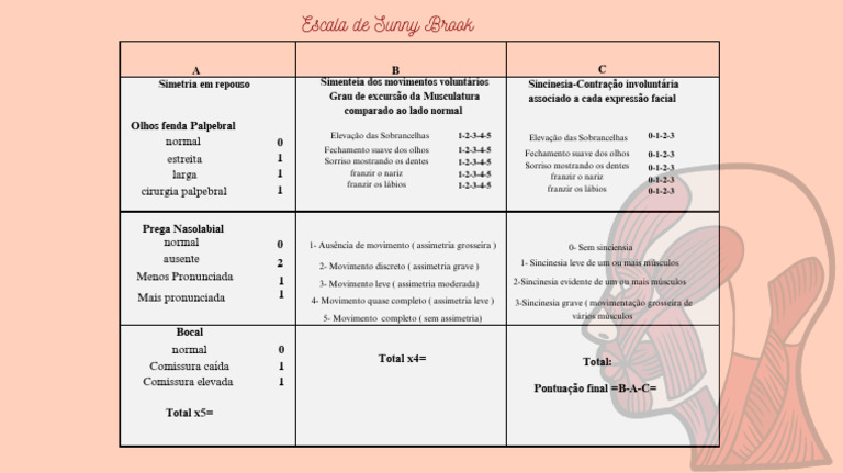 Escala de Sunny Brook | PDF