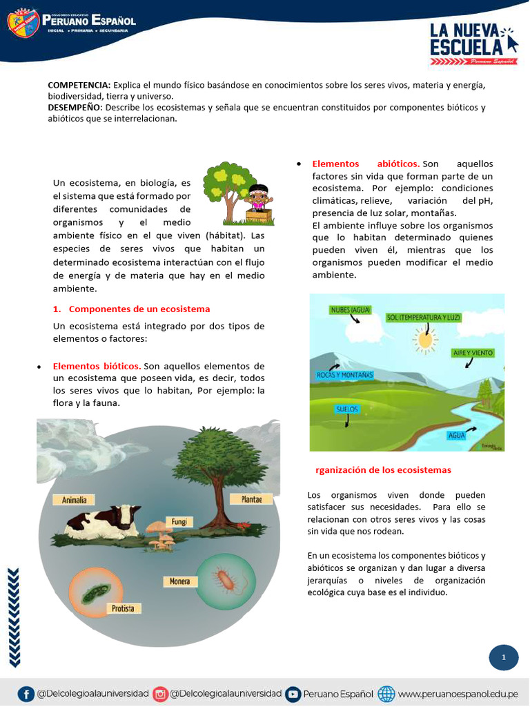 5to - Ciencia - Semana 1 - Ecosistema | PDF | Ecosistema | Ecología