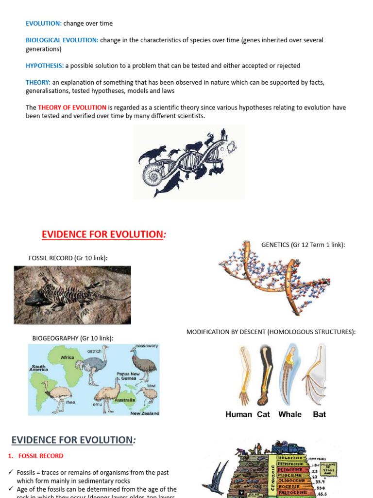Evolution by Natural Selection PP Printable | PDF