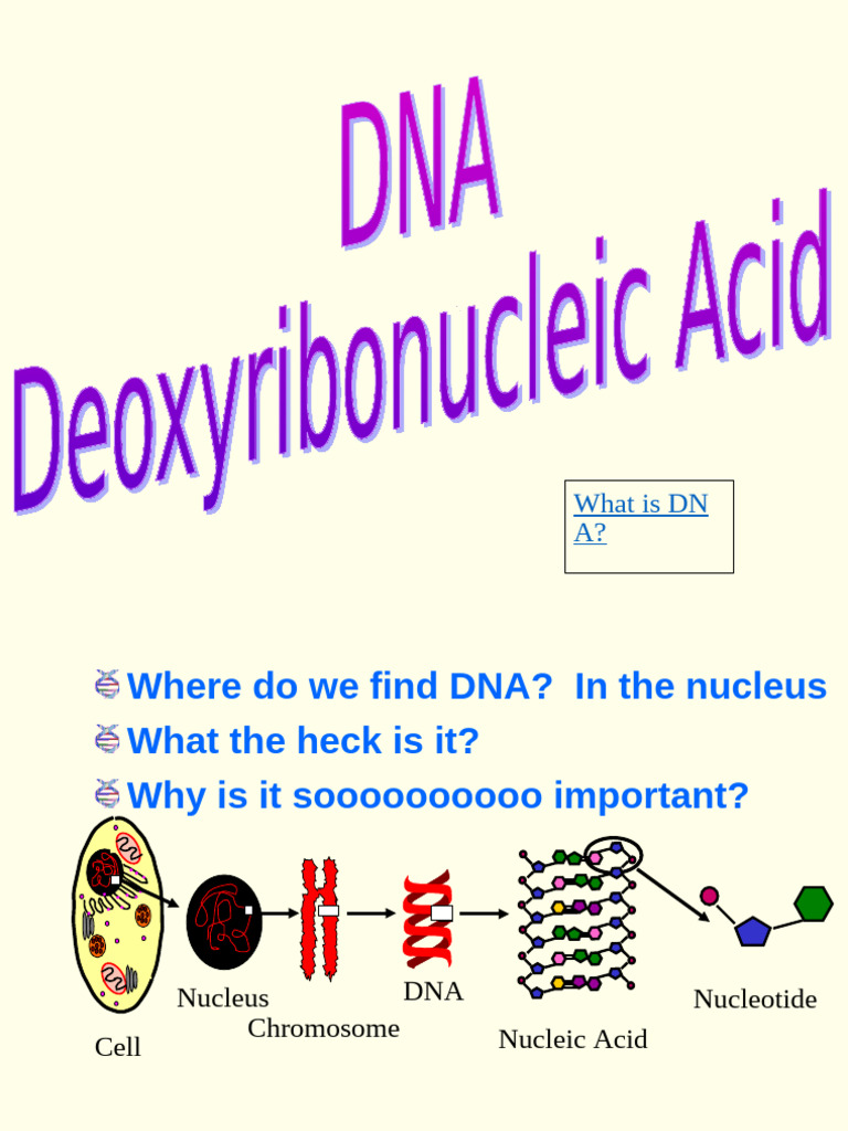 Dna Notes 2015 | PDF