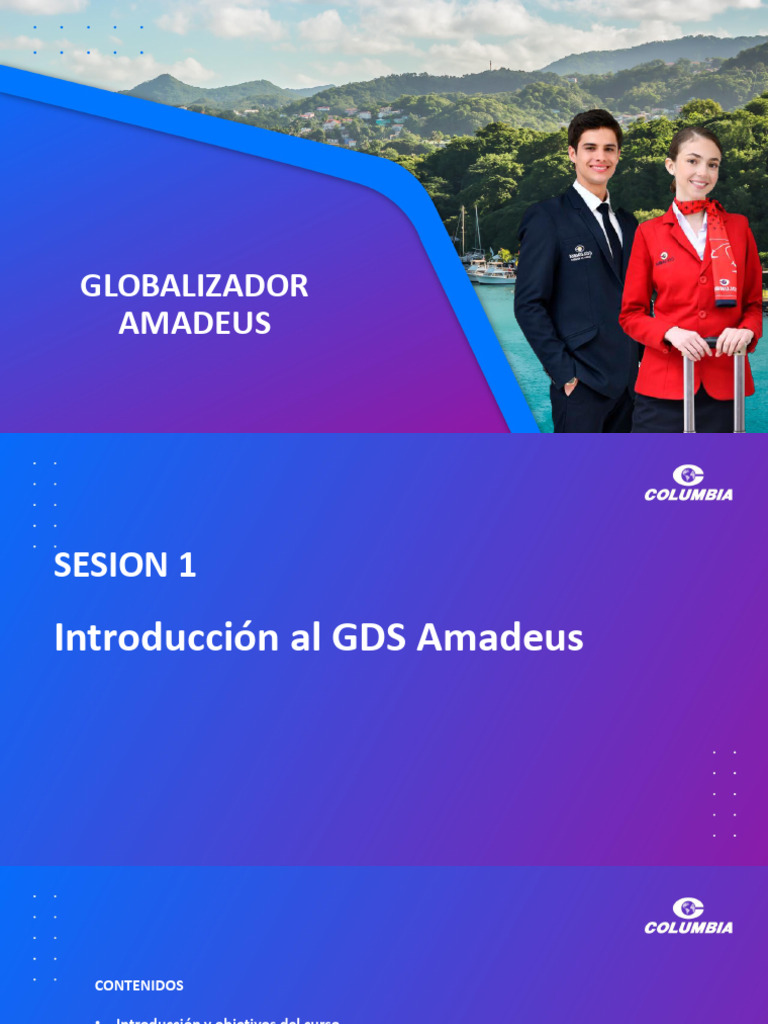 Amadeus PPT1.R01 | PDF