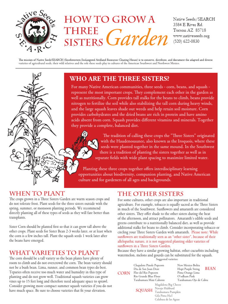 how-to-grow-a-3-sisters-garden-pdf