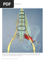 Download Assessing Sciatic Pain Myofascial Techniques by Advanced-Trainingscom SN76170266 doc pdf