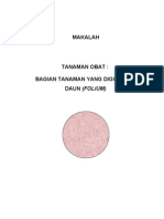 Download MAKALAH TANAMAN OBAT by De Ewo Asmoro SN76171744 doc pdf