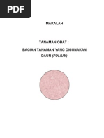 Download MAKALAH TANAMAN OBAT by De Ewo Asmoro SN76171744 doc pdf