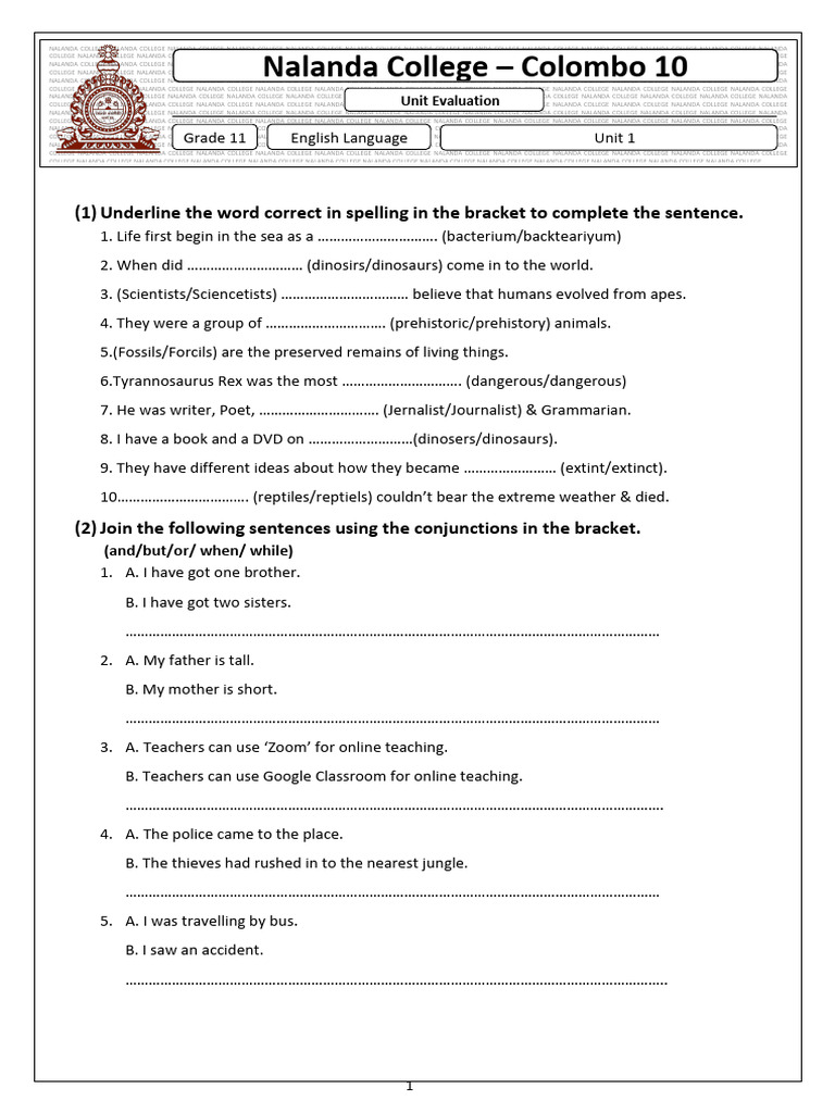 Nalanda English Grade 7 Unit Test | PDF