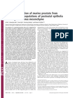 Li Xin Et Al - in Vivo Regeneration of Murine Prostate From Dissociated Cell Populations of Postnatal Epithelia and Urogenital Sinus Mesenchyme