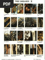 Tree Diseases II