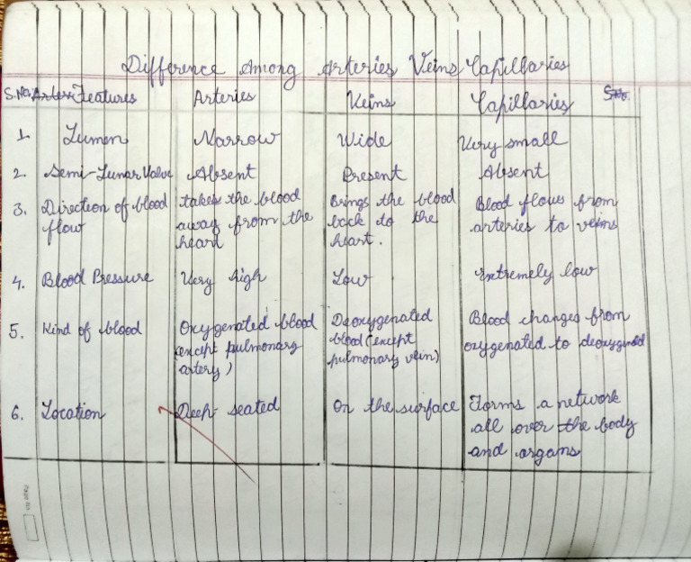 difference-among-arteries-veins-and-capillaries-class-10-short-notes-pdf