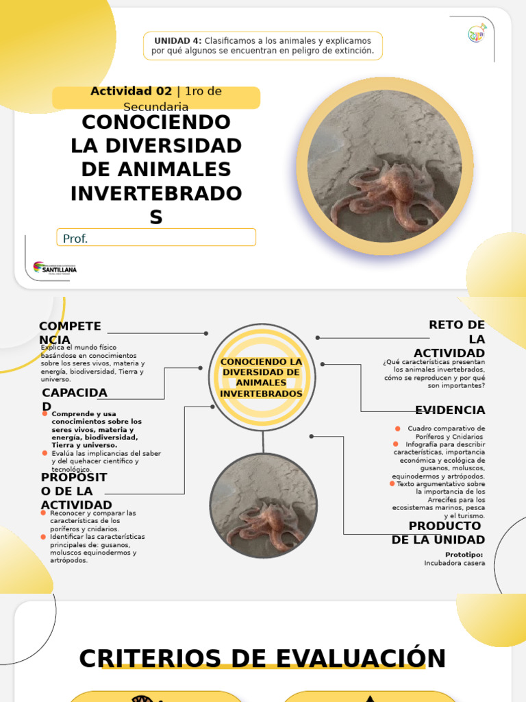 1ro Sec - UNIDAD 4 - Actividad 2 - CyT Explica 2024 | PDF