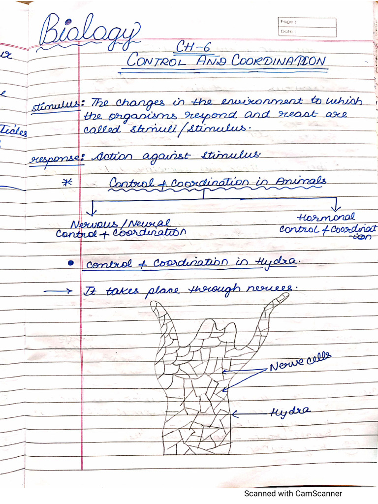 Notes of Control and Coordination | PDF