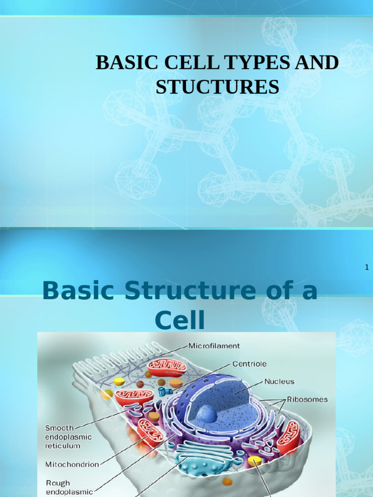 4.different Cell Types and Structures-1 | PDF