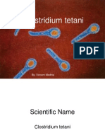 Clostridium Tetani: By: Vincent Medina