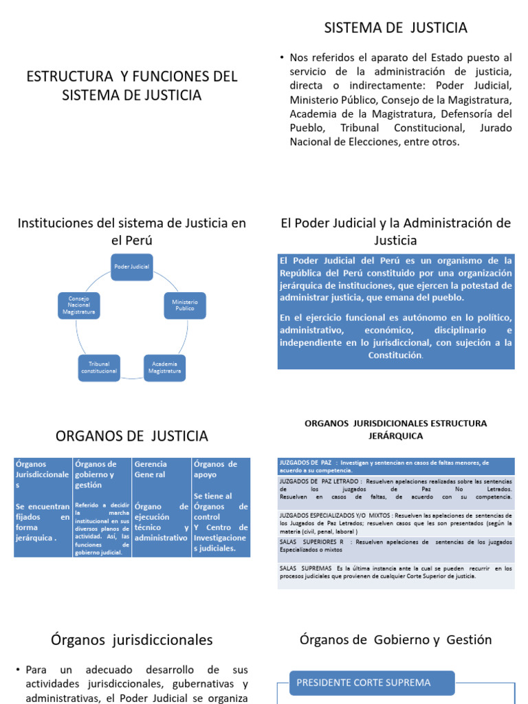 Estructura y Funciones Del Sistema de Justicia | PDF