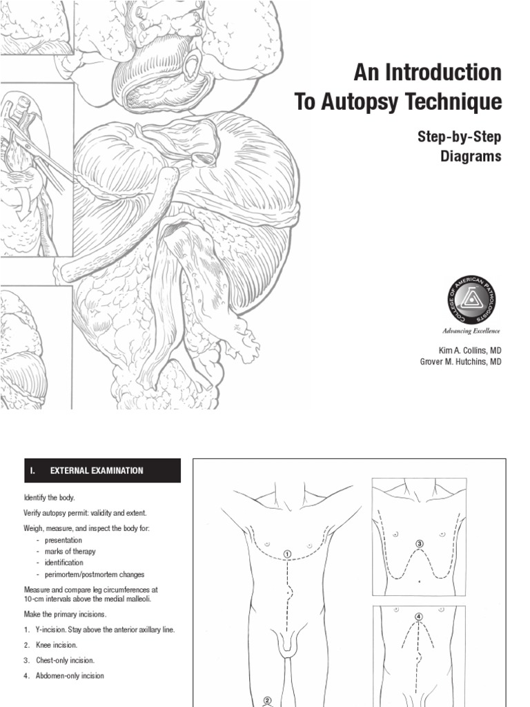 An Introduction To Autopsy Technique: Step-by-Step Diagrams | PDF ...