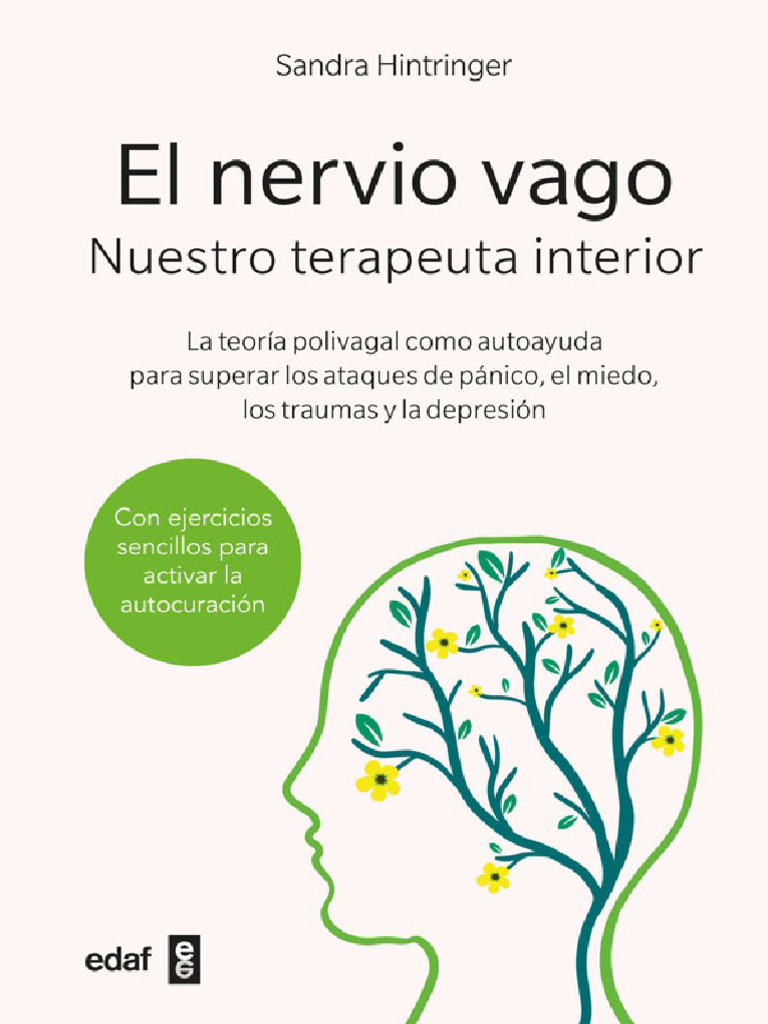 El Nervio Vago 231128 095022 Pdf