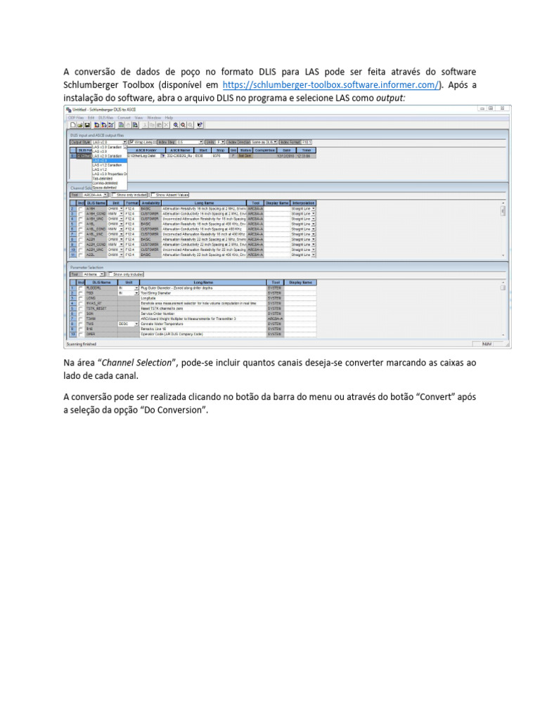 Tutorial para Converter Arquivos DLIS para LAS | PDF