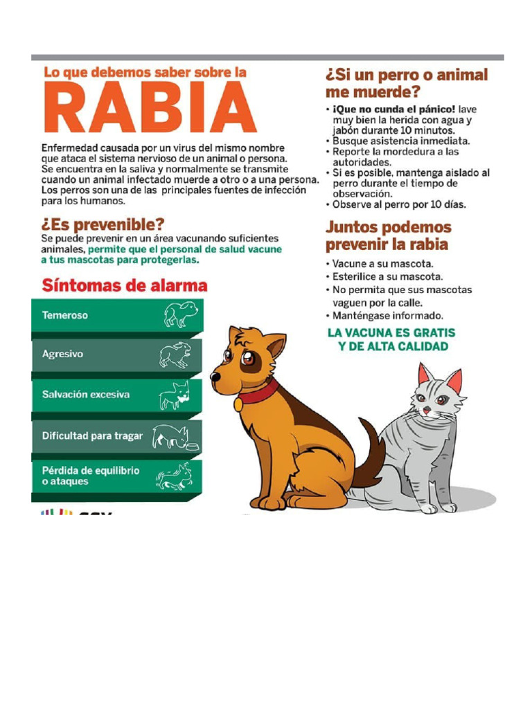 Volante Prevencion de Rabia Humana | PDF