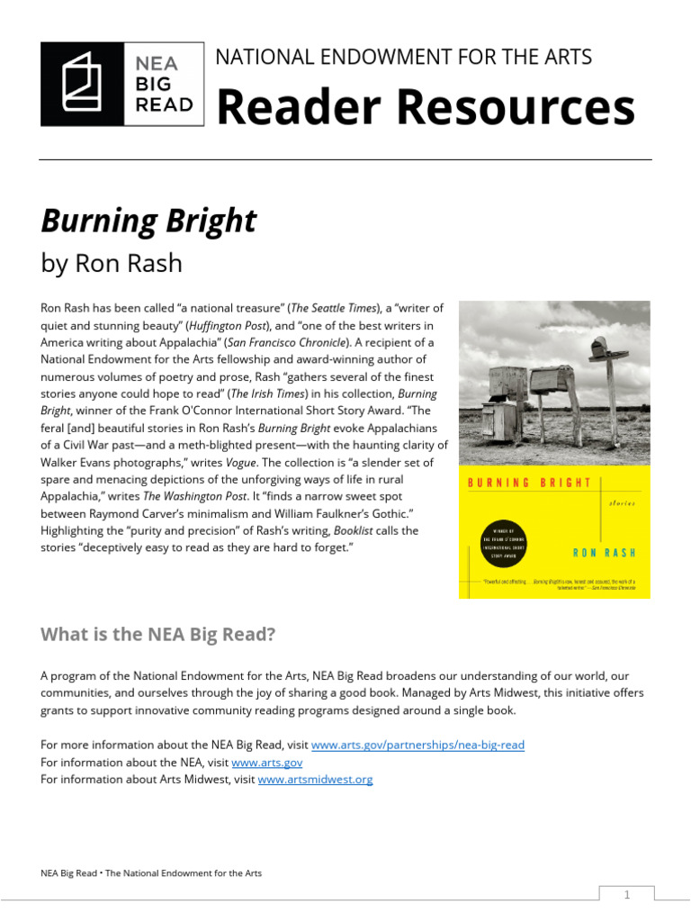 Reader Resource BurningBright | PDF