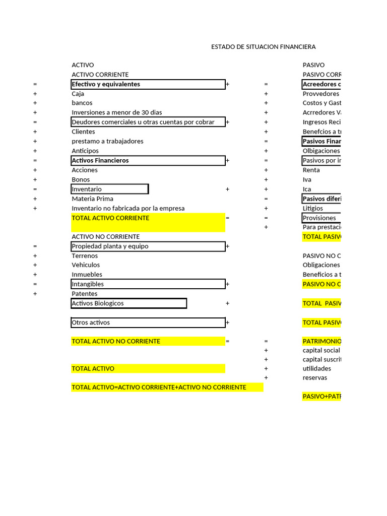 Estado de Situacion Financiera Esquema Oct 05 | PDF