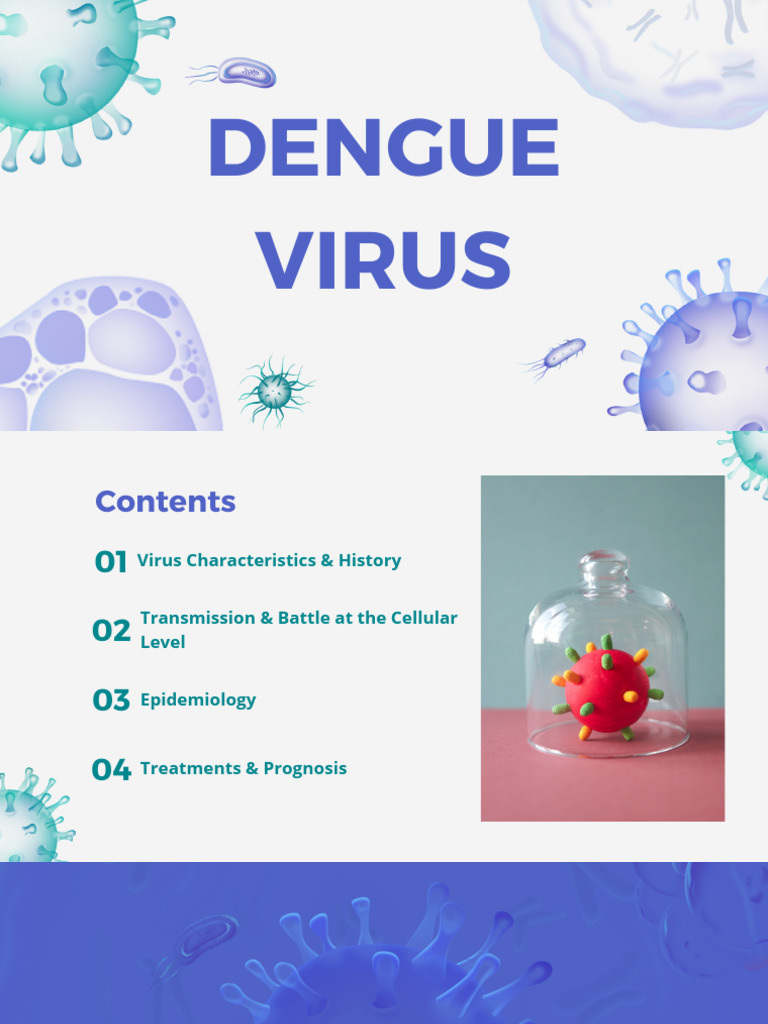 Dengue Virus | PDF