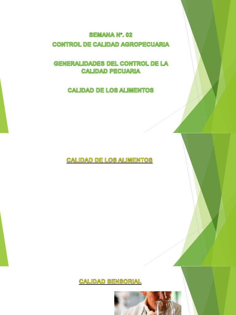 Semana 02 Control | PDF