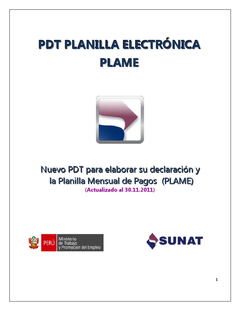 Guía para Descargar e Instalar PDT PLAME | PDF | Contraseña | Apoyo