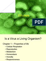 Viruses and HIV