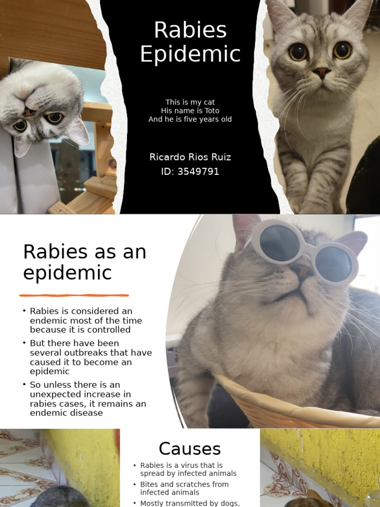 Understanding Rabies Epidemics | PDF