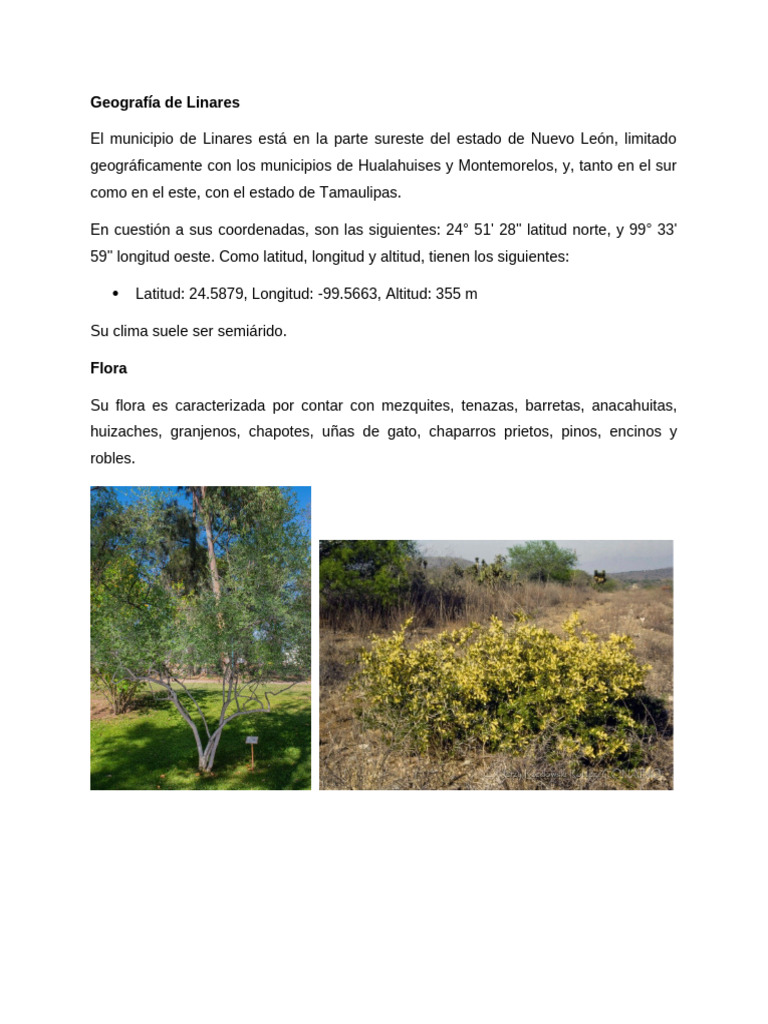 Geografía, Flora y Fauna, y Ríos de Linares | PDF