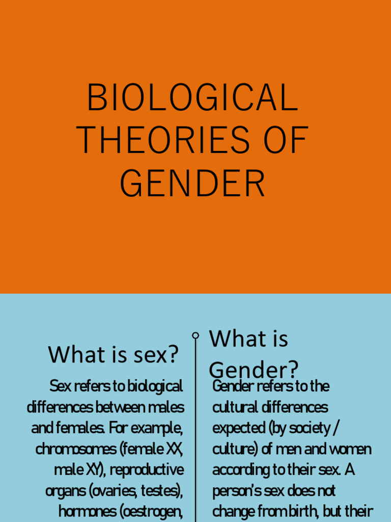 Biological Theories of Gender Explained | PDF | Sex | Gender