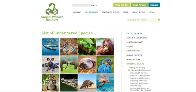 FireShot Capture 178 - List of Endangered Species - Animal Welfare ...