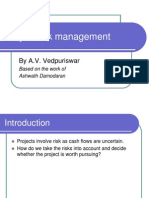 Project Risk Management