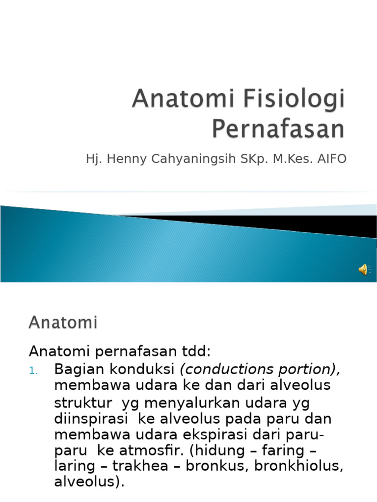 Sistem Pernafasan | PDF