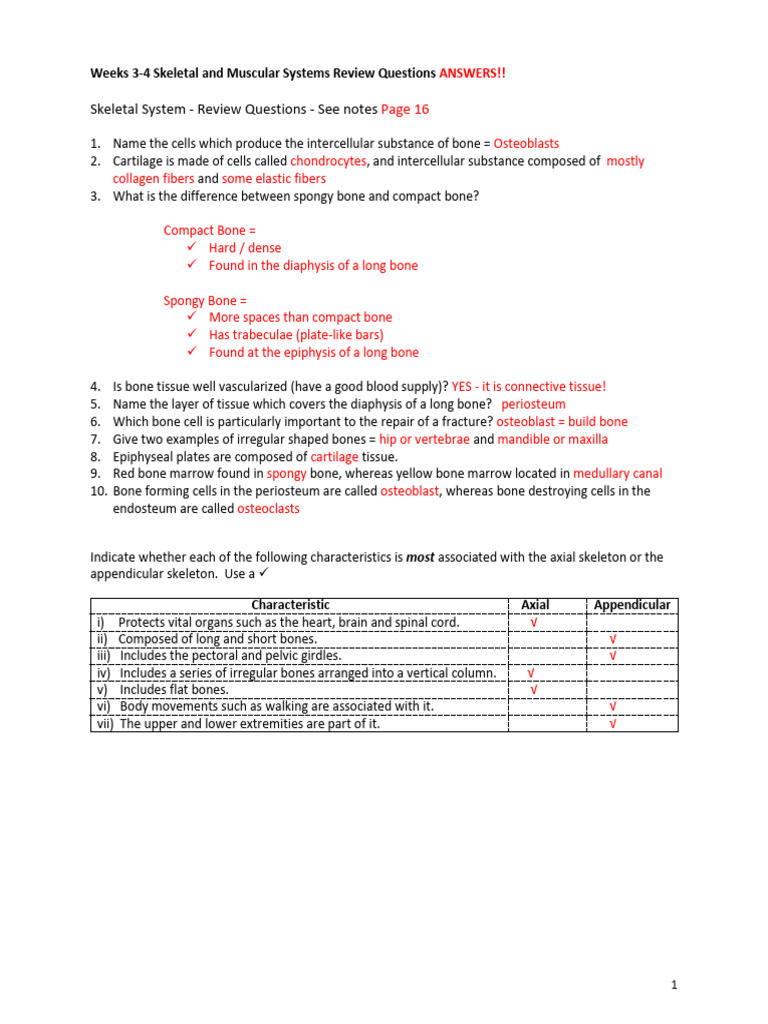 Bio4329 Answers To Skeletal And Muscular Review Question Pdf Bone