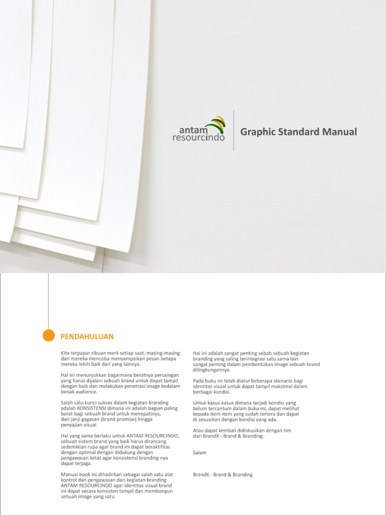 Graphic Standard Manual - ARI | PDF