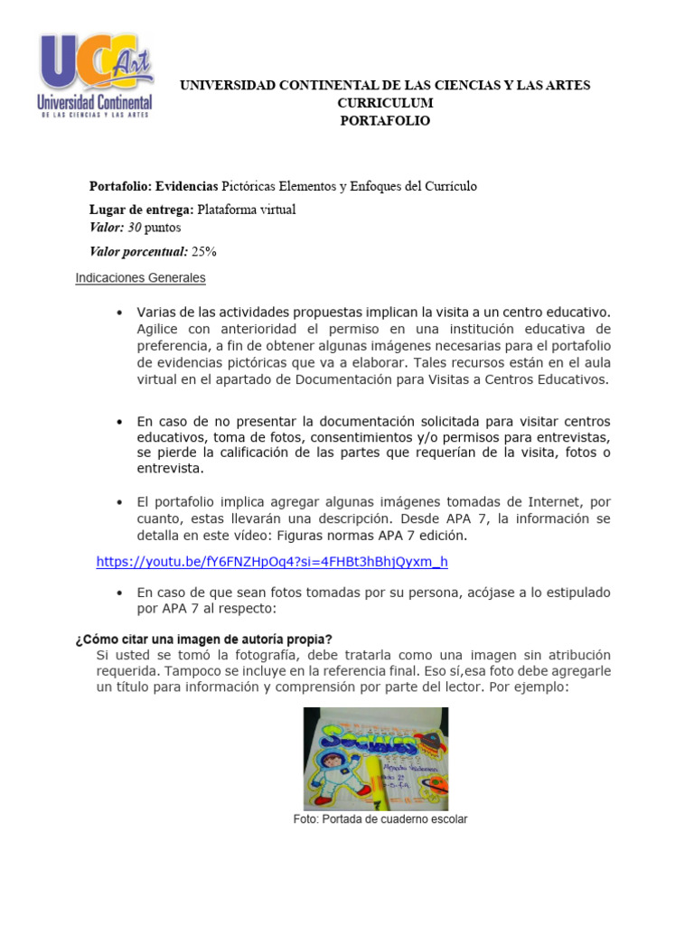 Guía para La Elaboración de Portafolio Curriculo 2C-2024 | PDF