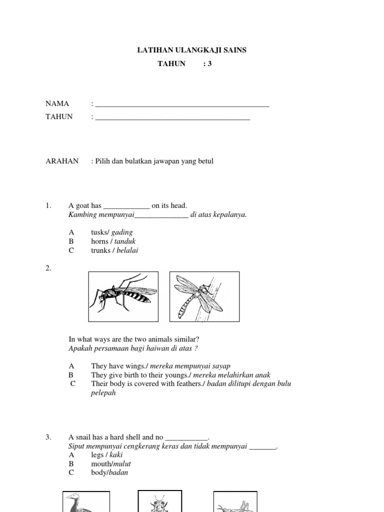 Contoh Soalan Reading Comprehension - Absurd Things