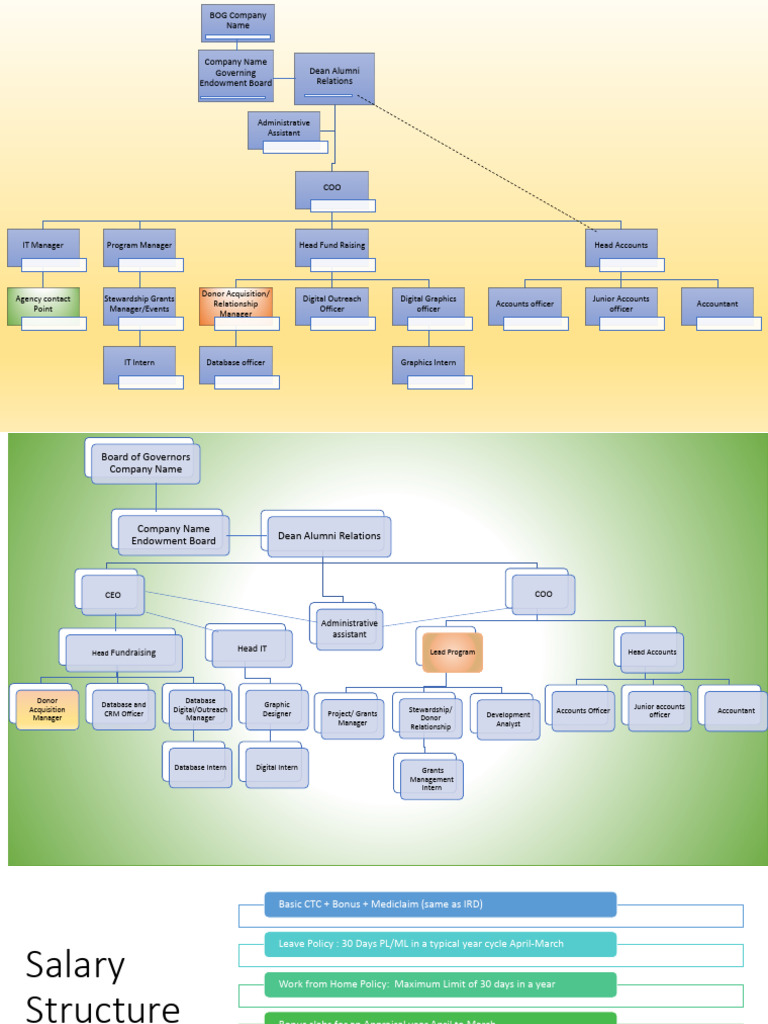 BOG Company Salary Structure & Policies | PDF