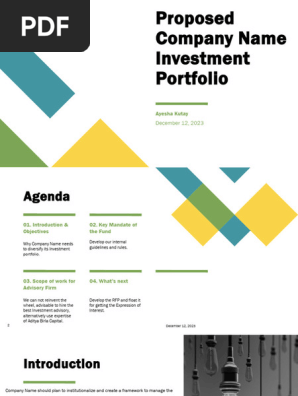 HIE Model Investment Portfolio