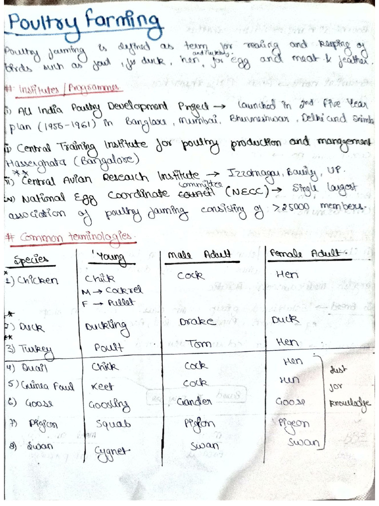 Poultry | PDF