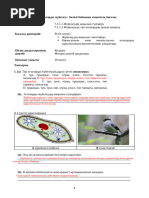 Семіз әйелдің кисы