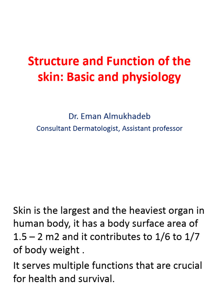 L1 - Structure and Function of The Skin | PDF