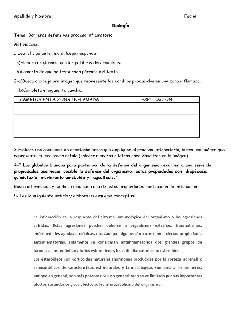 Actividades 4to Año | PDF