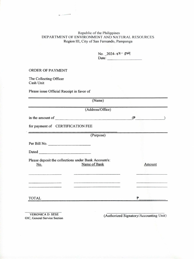 Order of Payment | PDF